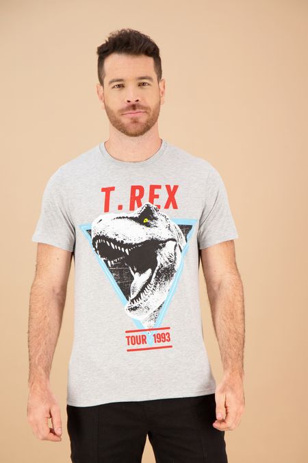 0066470302201024-camisetas-Manga-Corta-Cuello-Redondo-Silueta-Amplia-Hombre-gris-v1.jpg